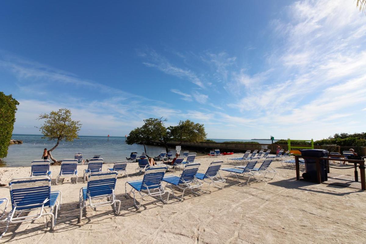 Vitamin Sea - main image