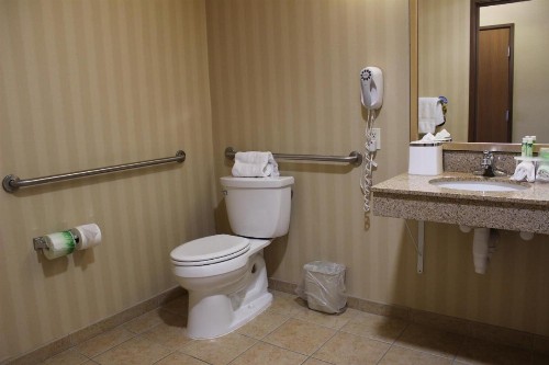 Holiday Inn Express Tehachapi an IHG Hotel - image 24