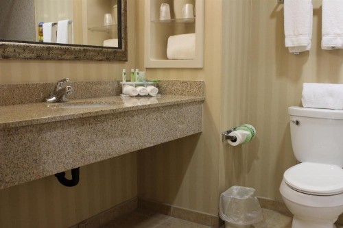 Holiday Inn Express Tehachapi an IHG Hotel - image 3