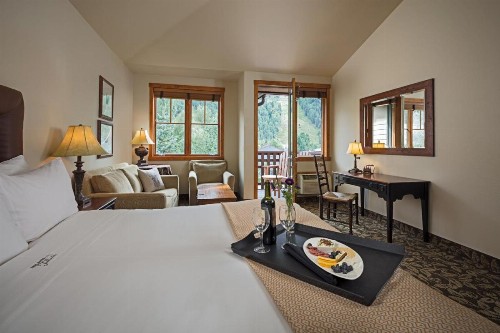 The Hotel Telluride - image 10