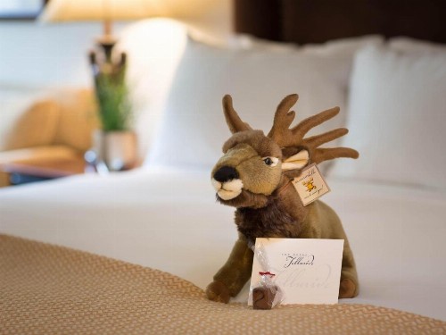 The Hotel Telluride - image 15