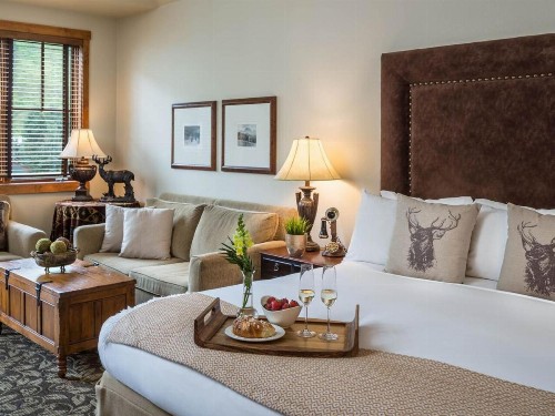 The Hotel Telluride - image 23