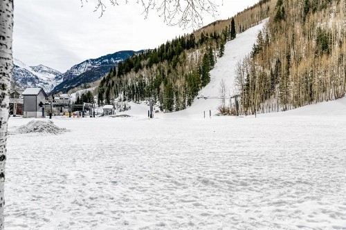 Double Diamond Ski-in/Ski-out Chalet - image 11
