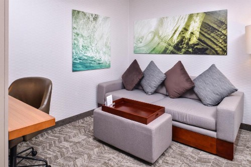 SpringHill Suites Temecula Valley Wine Country - image 39