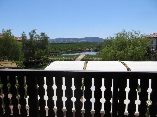 Ponte Vineyard Inn - image 13