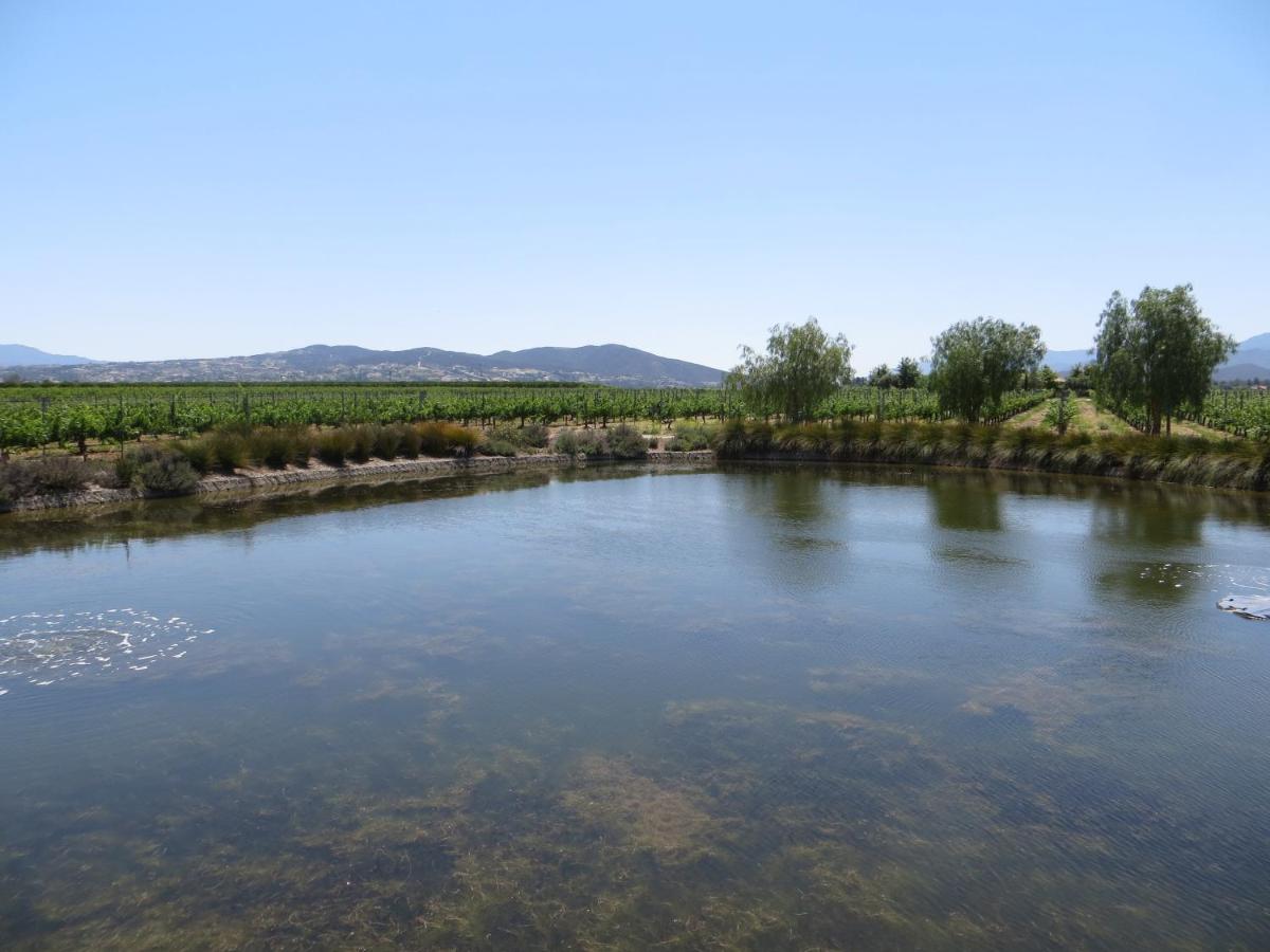 Ponte Vineyard Inn - image 3