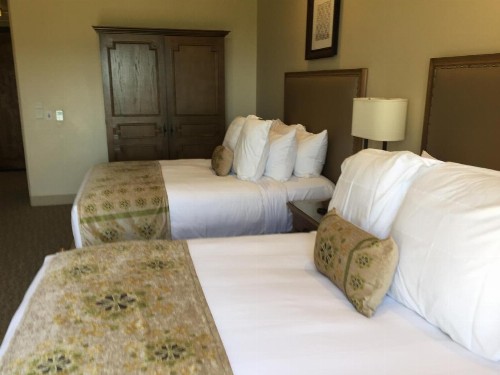 Ponte Vineyard Inn - image 34
