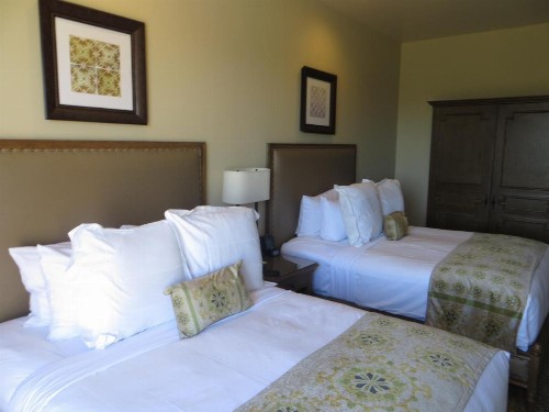 Ponte Vineyard Inn - image 41
