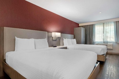 Best Western Plus Temecula Wine Country Hotel & Suites - image 21