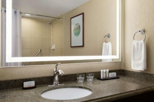 Embassy Suites Phoenix - Tempe - image 29