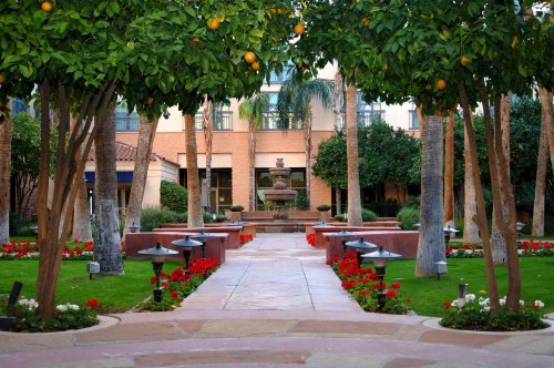 Tempe Mission Palms a Destination by Hyatt Hotel - image 14