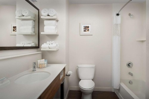 Hampton Inn & Suites Phoenix/Tempe - image 31