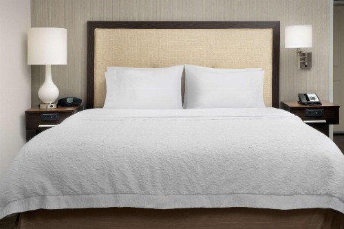 Hampton Inn & Suites Phoenix/Tempe - image 6