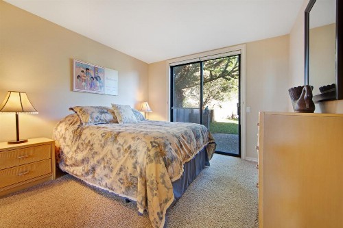 Pacific Pearl - image 10