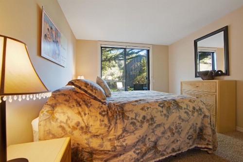 Pacific Pearl - image 11