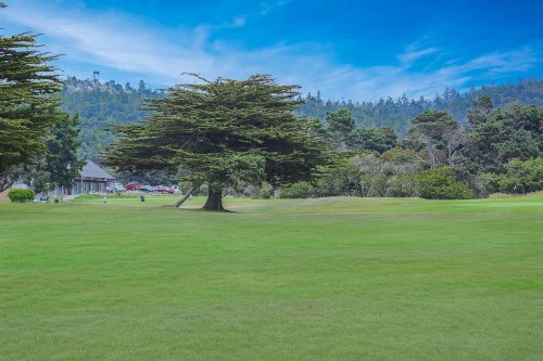 Meadow House - image 11