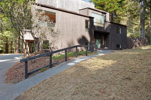 Tree House - image 6