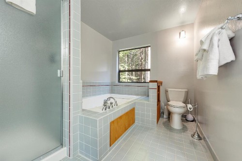 Tree House - image 7