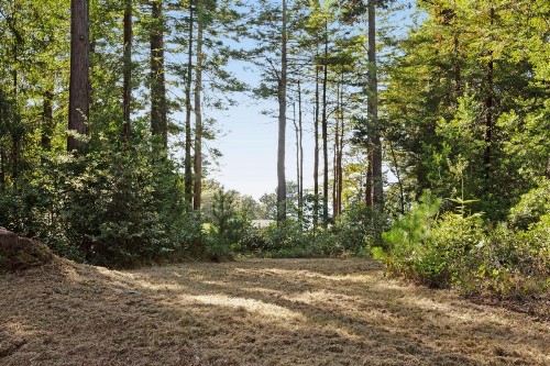Tree House - image 8
