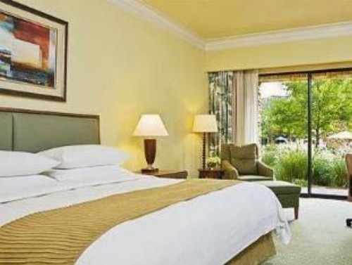 The Woodlands Resort - image 10