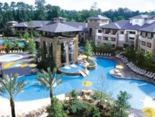 The Woodlands Resort - image 2