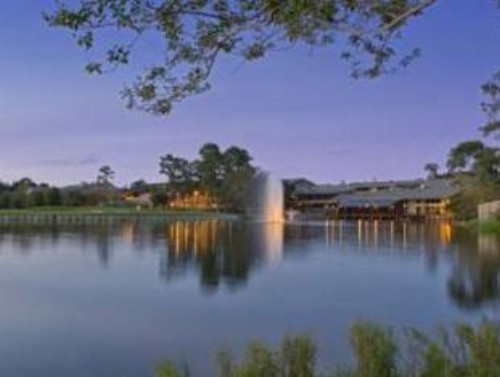 The Woodlands Resort - image 3