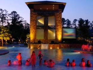 The Woodlands Resort - image 4