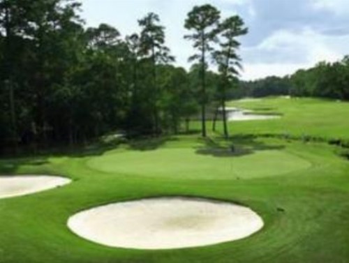 The Woodlands Resort - image 5