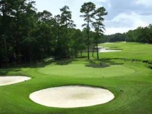 The Woodlands Resort - image 5