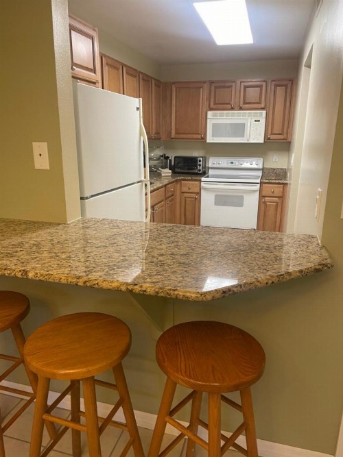 Fort DeSoto Condo - image 2