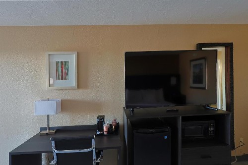Quality Inn Kennedy Space Center - image 42