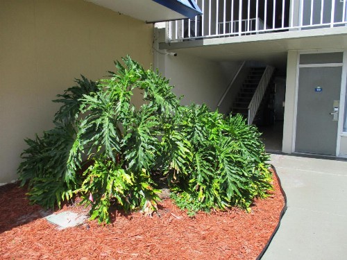 Days Inn by Wyndham Titusville Kennedy Space Center - image 42