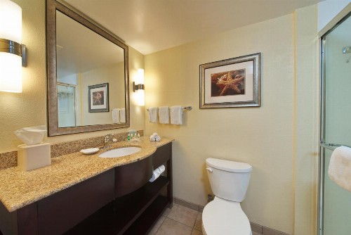 Holiday Inn Titusville/Kennedy Space Center an IHG Hotel - image 38