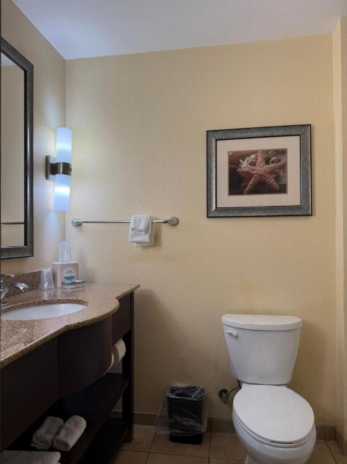 Holiday Inn Titusville/Kennedy Space Center an IHG Hotel - image 9