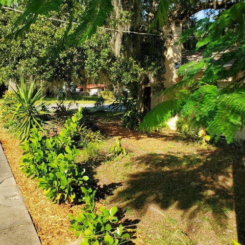 1 Beige Cozy Bungalow and 1 White Cozy Efficiency Cottage in Titusville - image 47