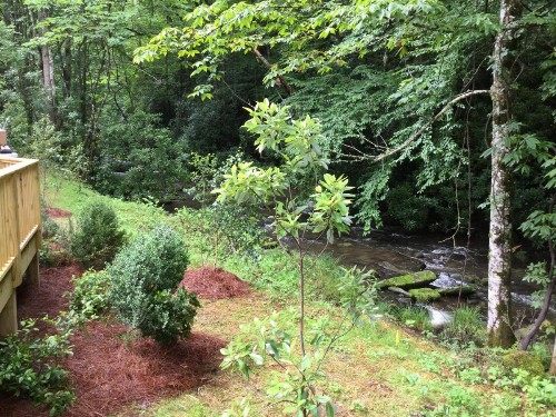 Lake Nantahala-Smoky Mountain-Yurts - image 10