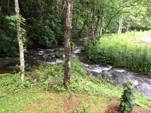 Lake Nantahala-Smoky Mountain-Yurts - image 11