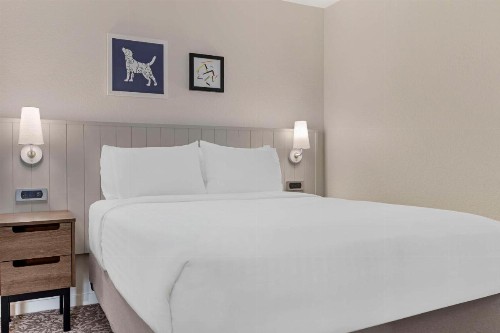 Sonesta ES Suites Torrance Redondo Beach - image 21