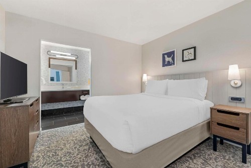 Sonesta ES Suites Torrance Redondo Beach - image 48