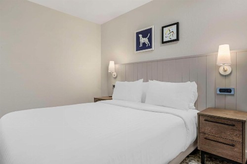 Sonesta ES Suites Torrance Redondo Beach - image 5