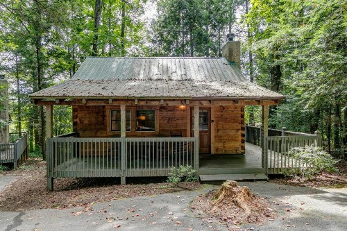 Dancing Bear Lodge - image 7