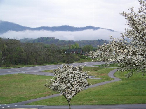 Highland Manor Inn - image 24
