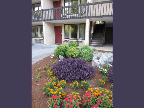 Highland Manor Inn - image 31