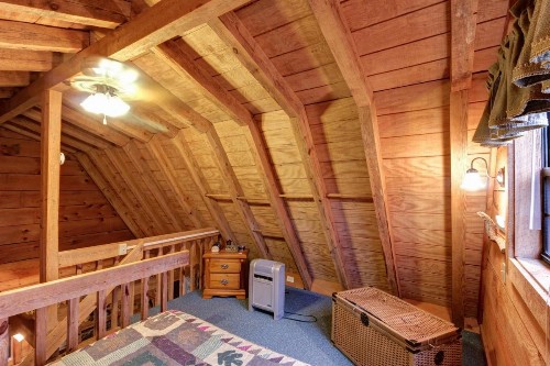 Bear Haven - image 8