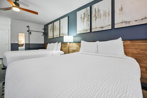 Tremont Lodge & Resort - image 23