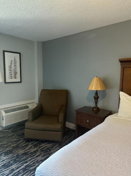 Tremont Lodge & Resort - image 30