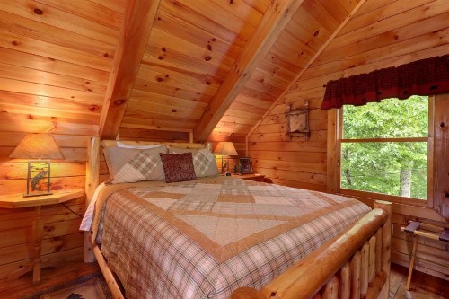 Evergreen - image 11