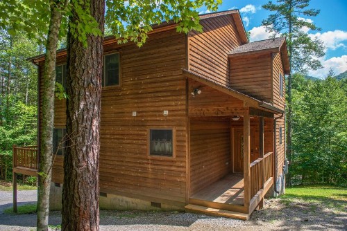 Cabin Fever - image 6