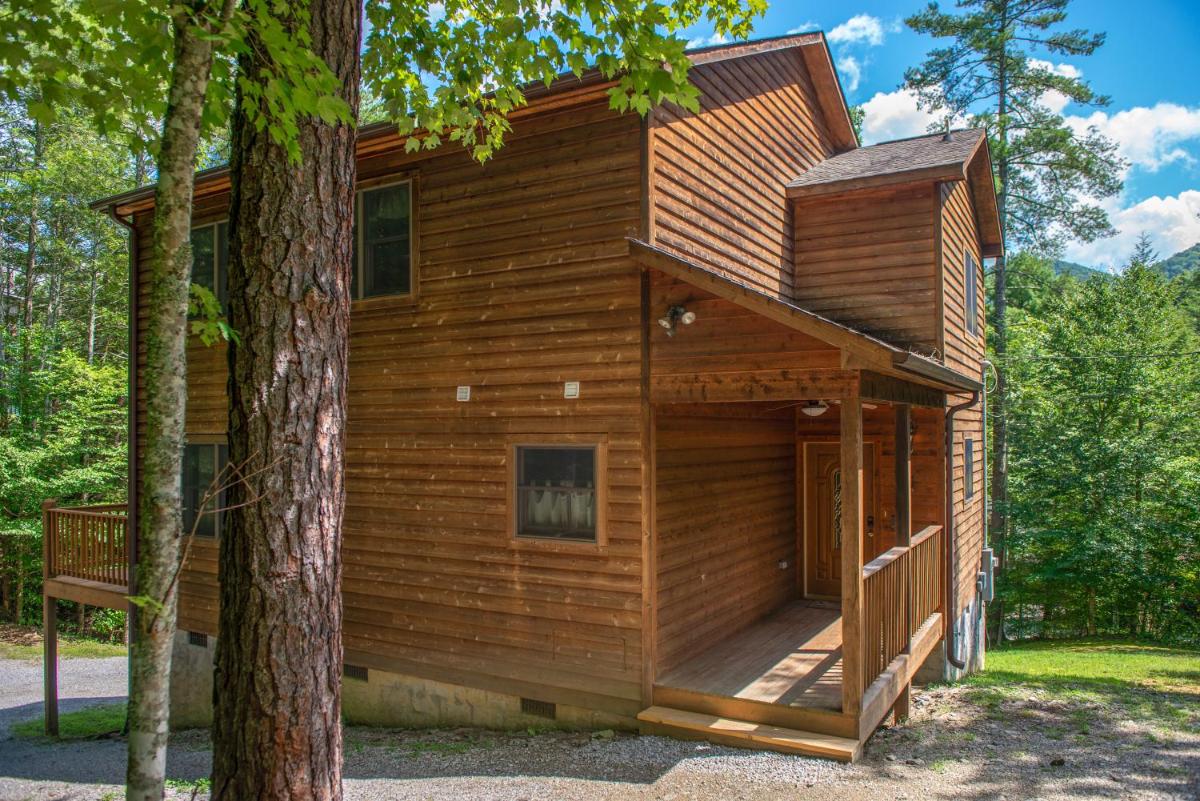 Cabin Fever - image 6