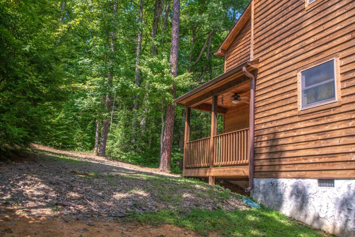 Cabin Fever - image 7